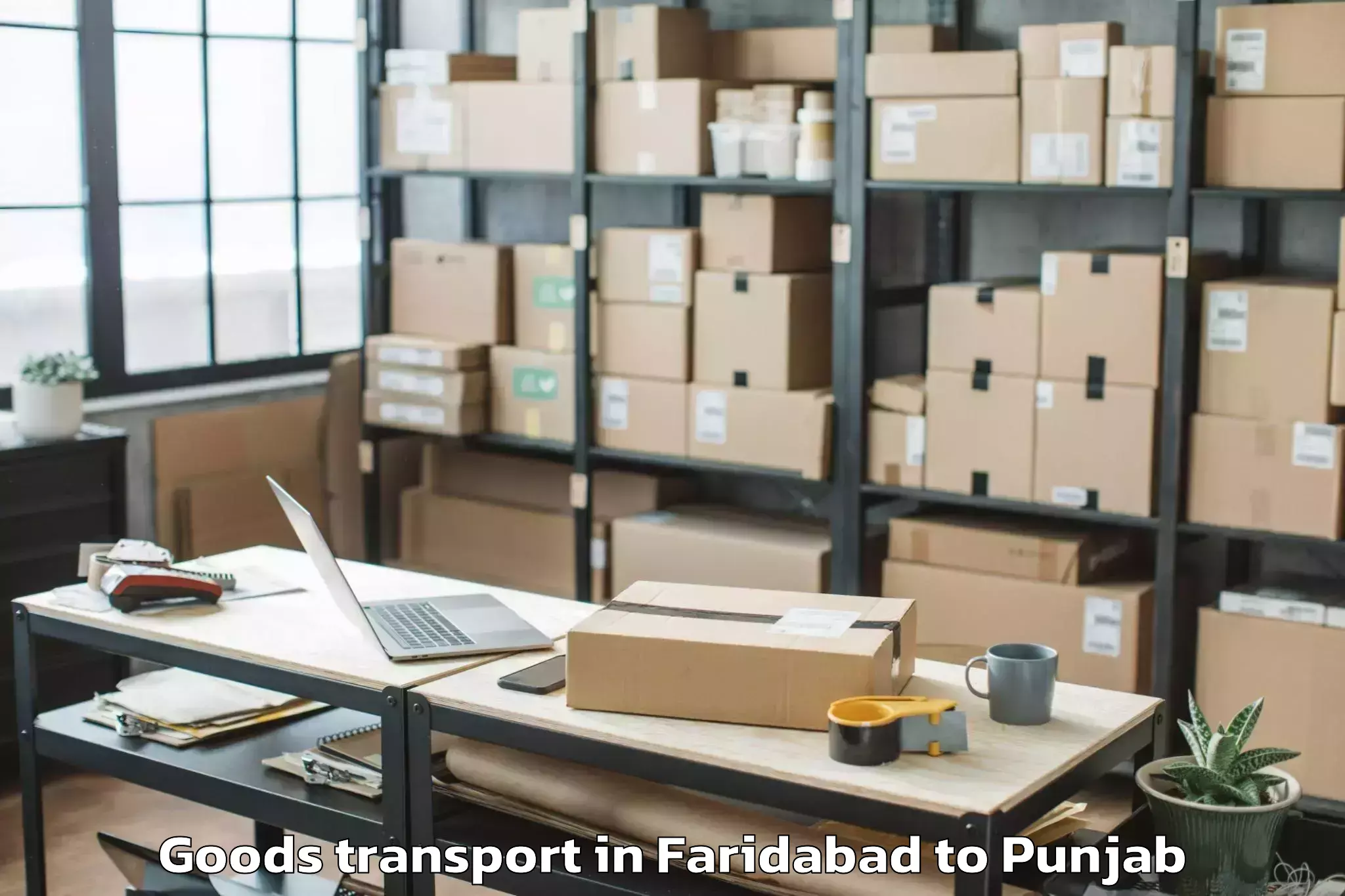 Book Faridabad to Dhanaula Goods Transport Online